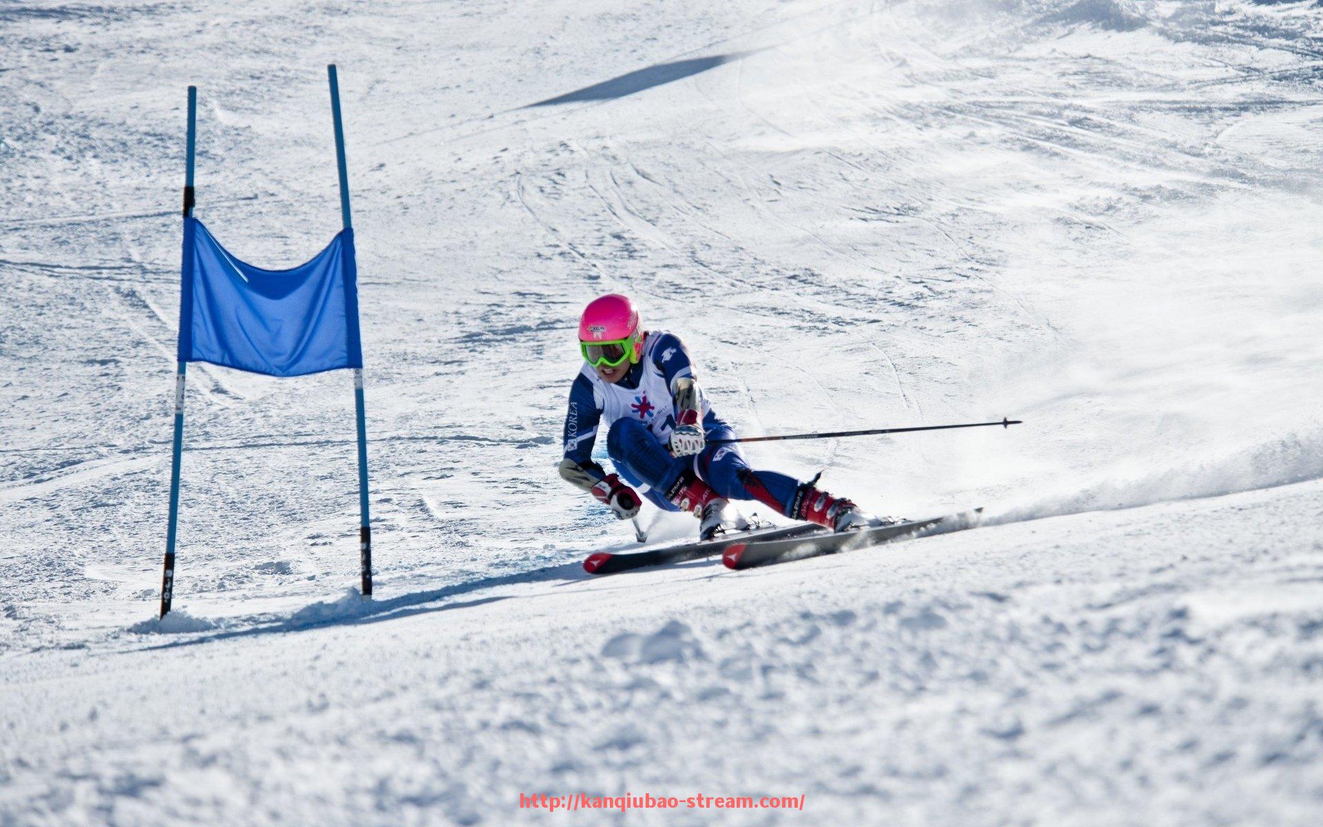 看球宝-健身器材最全分类汇总及适用场景建议
